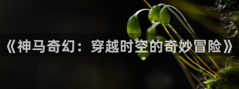 被窝影院手机在线