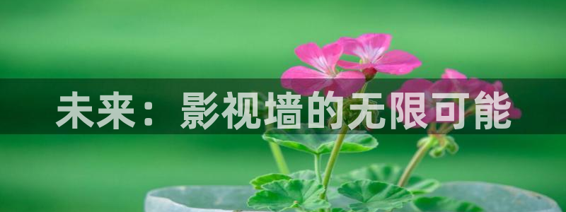 久久电影被窝影视