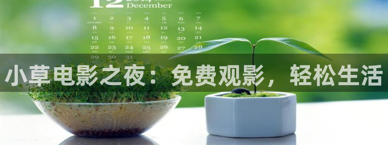 被窝在线观看电影：小草电影之夜：免费观影，轻松生活