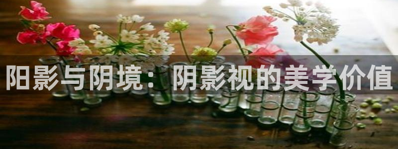 噜噜噜被窝影院：阳影与阴境：阴影视的美学价值